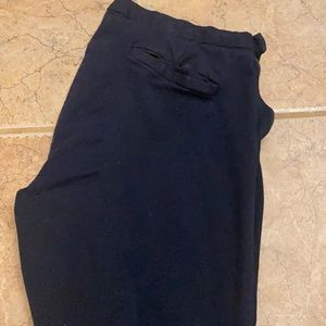 Banana Republic Pant